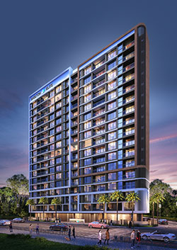 SHELTON ELITE - JUHU